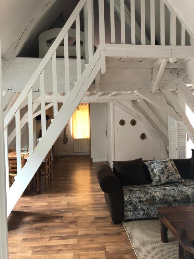Le Grand Appartement - 90M2- 2 Chb , 1 Mezzanine - 6Pers Romorantin-Lanthenay Ngoại thất bức ảnh