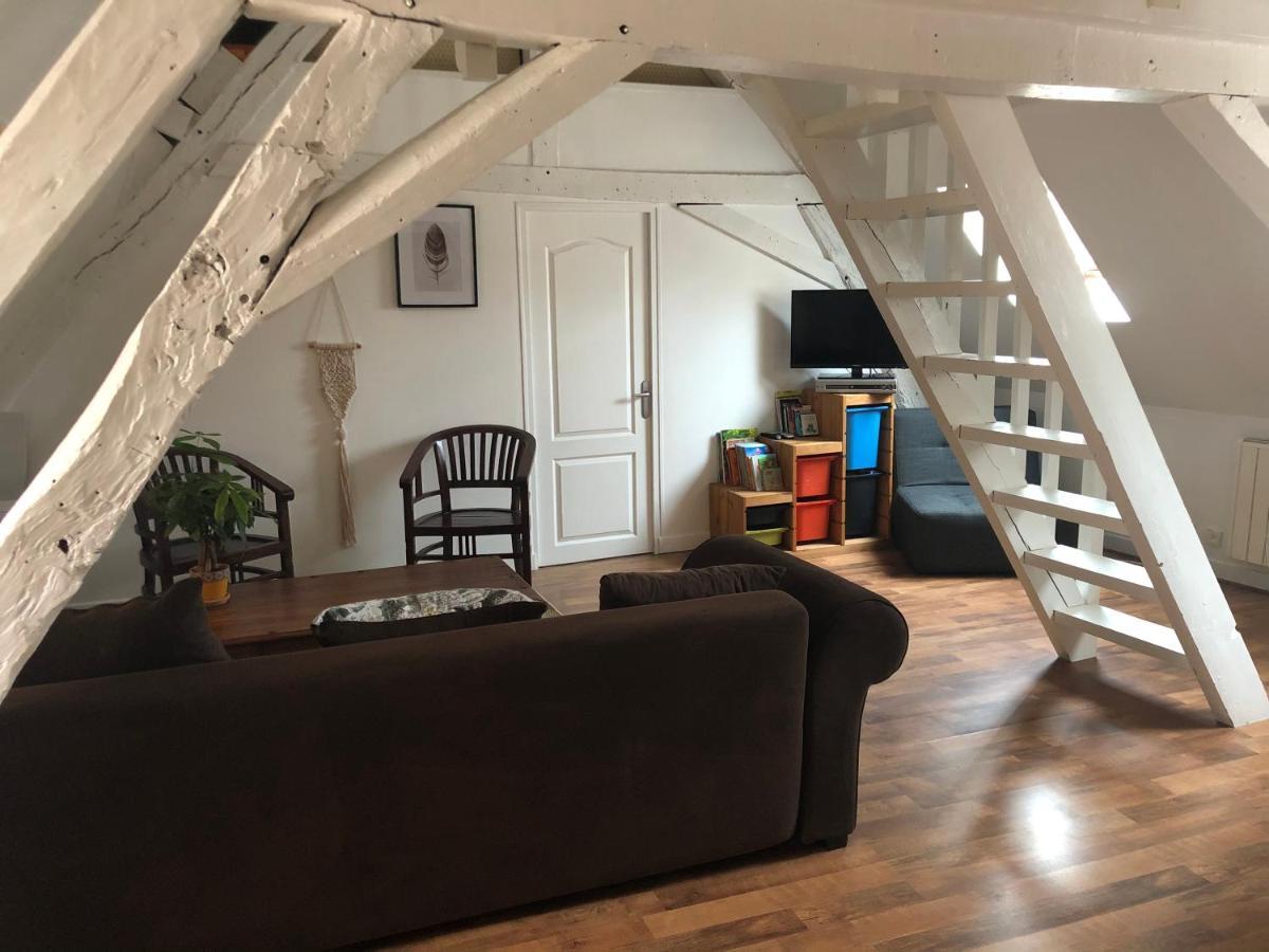 Le Grand Appartement - 90M2- 2 Chb , 1 Mezzanine - 6Pers Romorantin-Lanthenay Ngoại thất bức ảnh